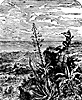 crusoe22_21372_th.gif
