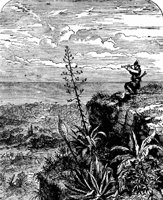 crusoe22_21372_md.gif
