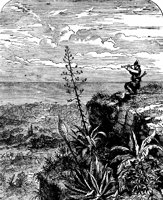 crusoe22_21372_lg.gif