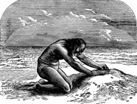 crusoe25_21377_lg.gif