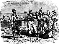 crusoe30_21382_sm.gif