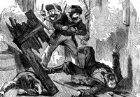 crusoe32_21384_md.gif