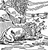 beasts2_21476_th.gif