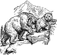 bear_21508_sm.gif