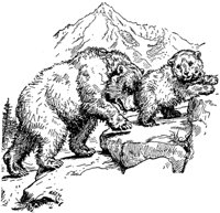 bear_21508_md.gif