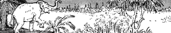 elephant_21616_md.gif