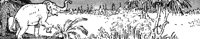 elephant_21616_lg.gif