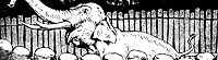 elephant2_21617_sm.gif