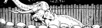 elephant2_21617_lg.gif