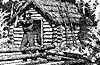selkirk5_21653_th.gif
