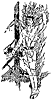 hiawatha2_21665_th.gif