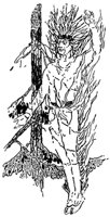 hiawatha2_21665_md.gif