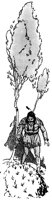 hiawatha4_21667_lg.gif