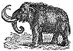 mammoth_1_th.gif