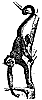 spider-monkey_2_th.gif