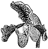 lady-slipper-orchid_1_th.gif