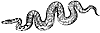 boa-constrictor_1_th.gif