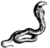 cobra_1_th.gif