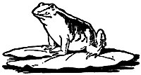 frog_22361_sm.gif