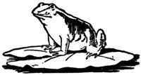 frog_22361_md.gif