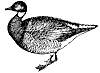 goose_1_th.gif