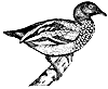 goose_2_th.gif