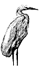 heron_2_th.gif