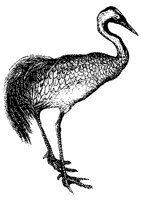 crane_2_sm.gif