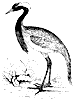 crane_3_th.gif