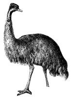 emu_2_lg.gif