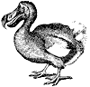 dodo_2_th.gif