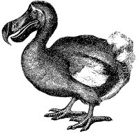 dodo_2_sm.gif