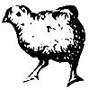 chicken_1_th.gif