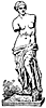 venus_23293_th.gif