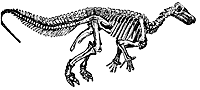 iguanodon_23983_sm.gif