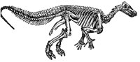 iguanodon_23983_lg.gif
