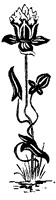 flower_1_sm.gif