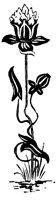 flower_1_lg.gif