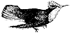 hummingbird_1_th.gif