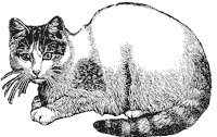 cat_1_sm.gif