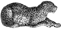 leopard_1_sm.gif