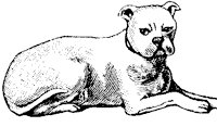 dog_2_sm.gif