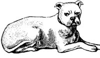 dog_2_lg.gif