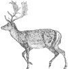 deer_1_th.gif