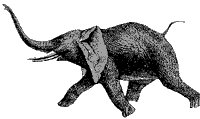 elephant_1_sm.gif