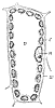 plant-cell_1_th.gif