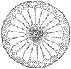 cross-section-stem_1_th.gif