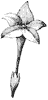 stylized-flower_2_th.gif