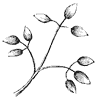 leaf_12_th.gif