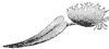 venus-fly-trap-leaf_2_th.gif